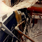 The organ damaged in the 1989 Loma-Prieta earthquake